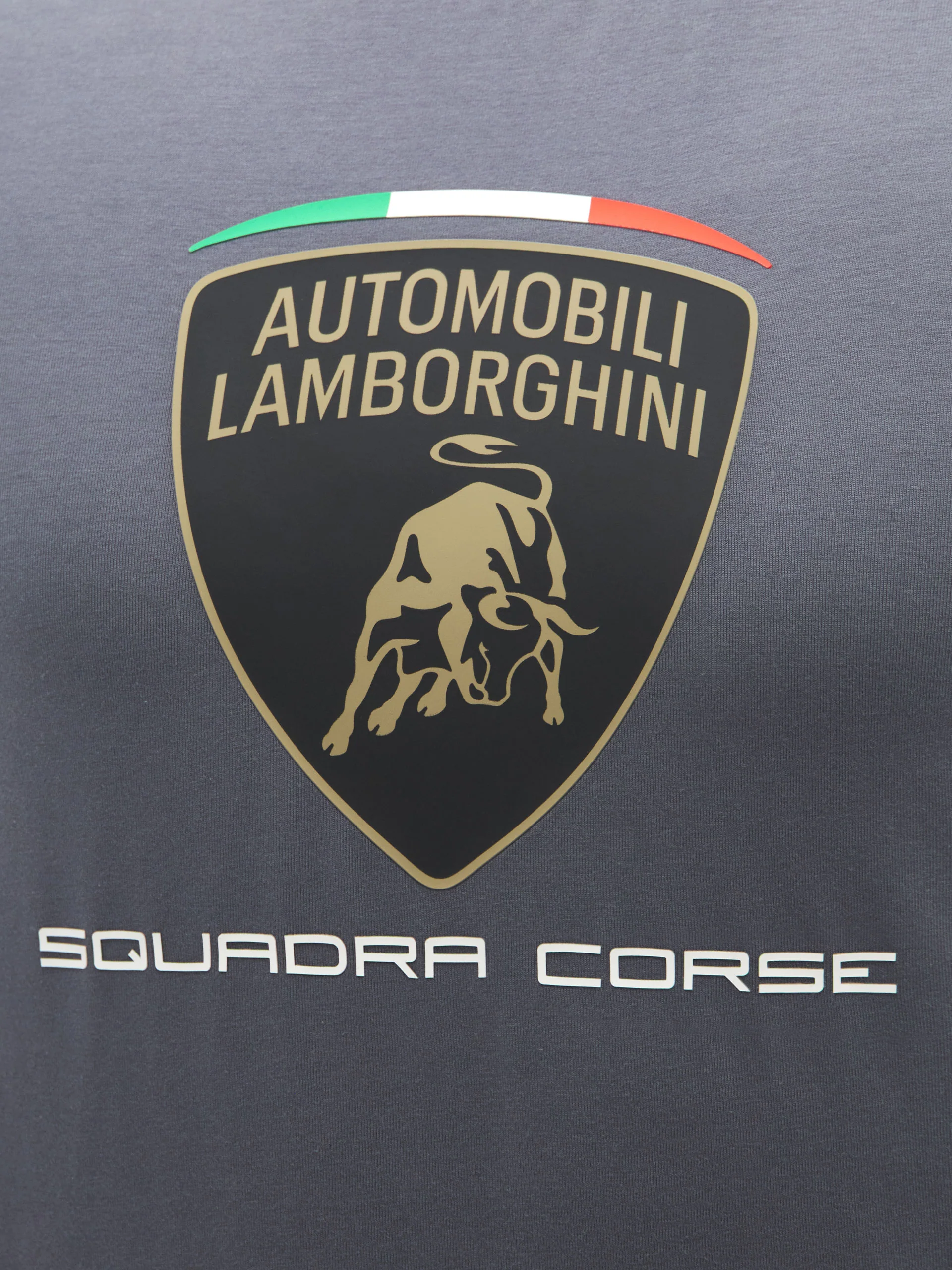 Squadra Corse men's grey sports t-shirt - Image 5