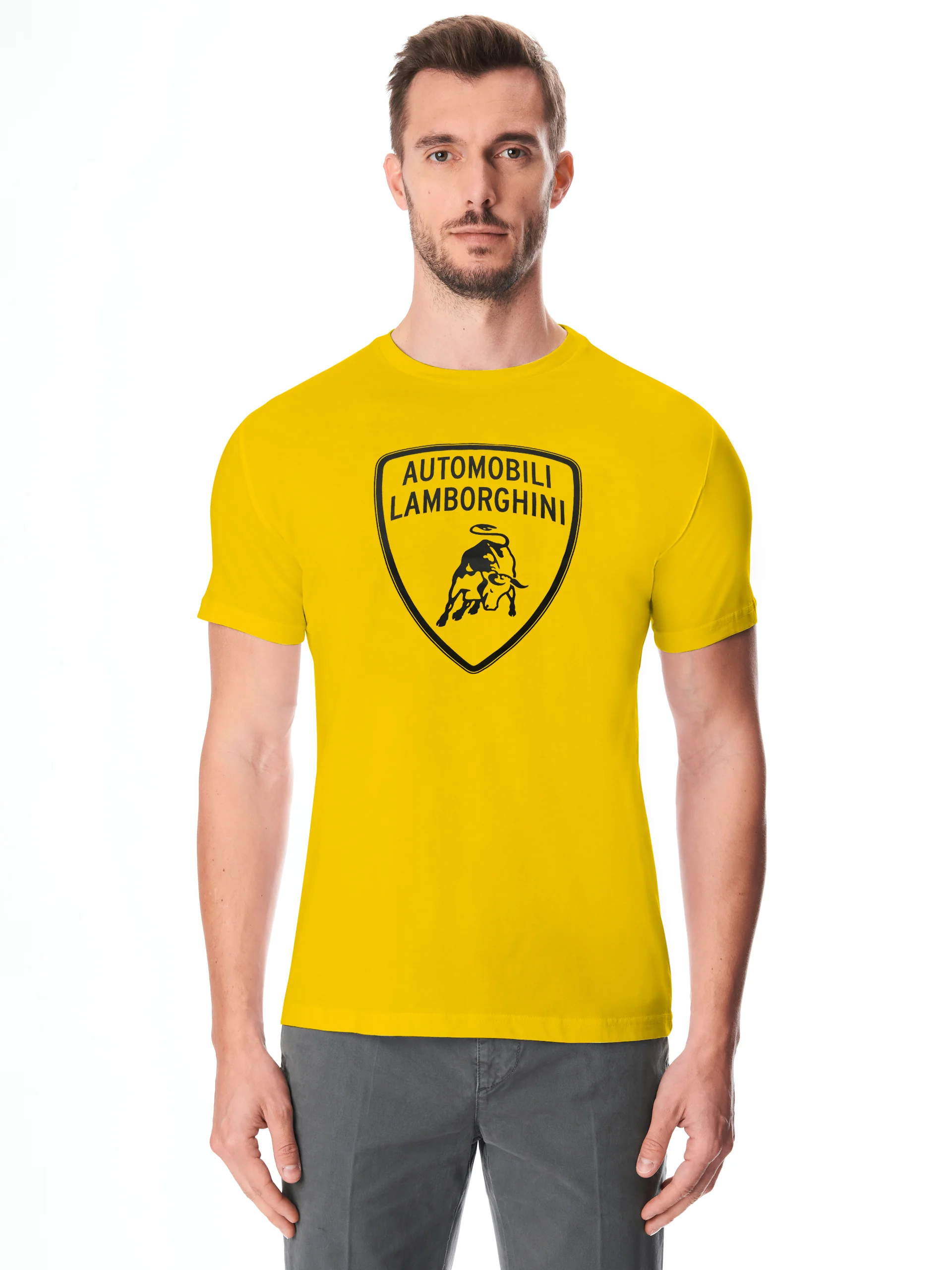 Men's t-shirt with big shield logo